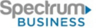 spectrum business internet